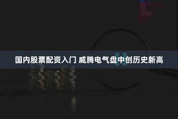国内股票配资入门 威腾电气盘中创历史新高