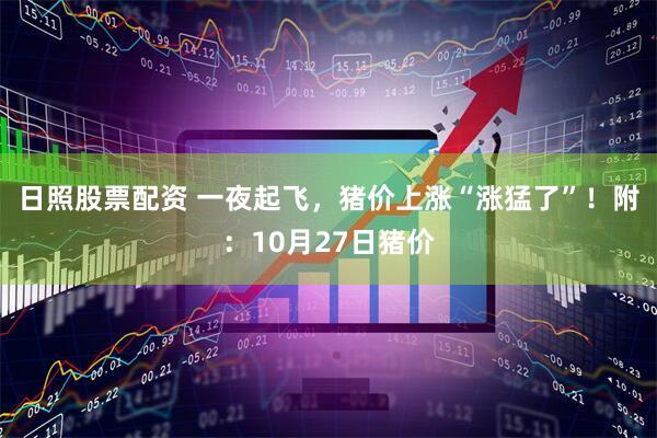 日照股票配资 一夜起飞，猪价上涨“涨猛了”！附：10月27日猪价
