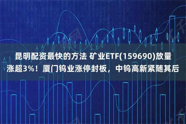 昆明配资最快的方法 矿业ETF(159690)放量涨超3%！厦门钨业涨停封板，中钨高新紧随其后