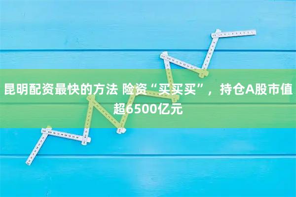 昆明配资最快的方法 险资“买买买”，持仓A股市值超6500亿元