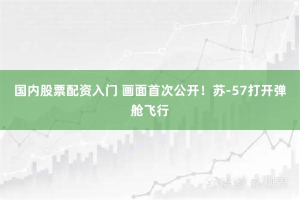 国内股票配资入门 画面首次公开！苏-57打开弹舱飞行