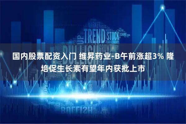 国内股票配资入门 维昇药业-B午前涨超3% 隆培促生长素有望年内获批上市