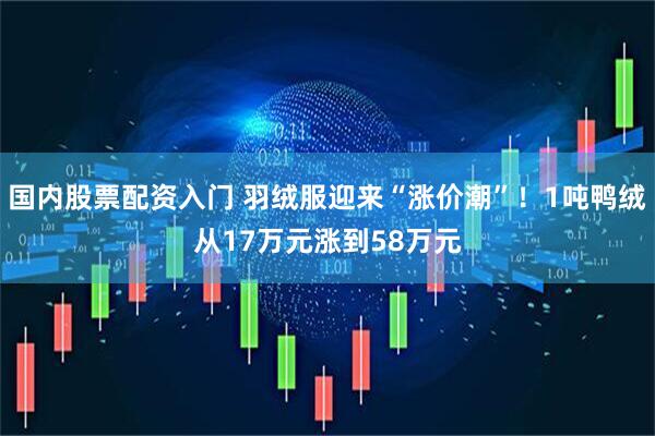 国内股票配资入门 羽绒服迎来“涨价潮”！1吨鸭绒从17万元涨到58万元