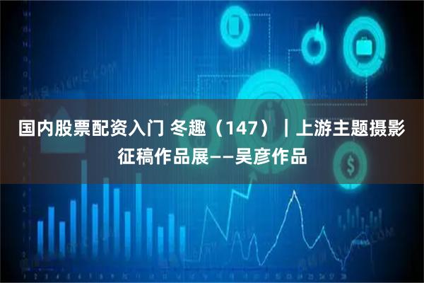 国内股票配资入门 冬趣（147）｜上游主题摄影征稿作品展——吴彦作品