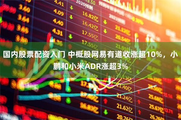 国内股票配资入门 中概股网易有道收涨超10%，小鹏和小米ADR涨超3%