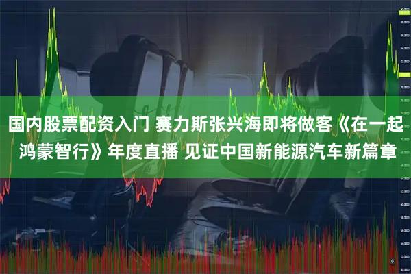 国内股票配资入门 赛力斯张兴海即将做客《在一起 鸿蒙智行》年度直播 见证中国新能源汽车新篇章