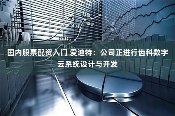 国内股票配资入门 爱迪特：公司正进行齿科数字云系统设计与开发