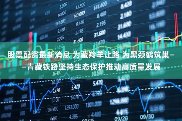 股票配资最新消息 为藏羚羊让路 为黑颈鹤筑巢——青藏铁路坚持生态保护推动高质量发展