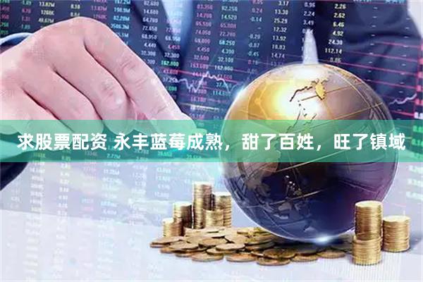 求股票配资 永丰蓝莓成熟，甜了百姓，旺了镇域