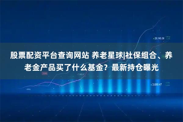 股票配资平台查询网站 养老星球|社保组合、养老金产品买了什么基金？最新持仓曝光