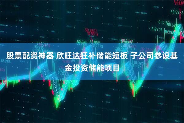 股票配资神器 欣旺达狂补储能短板 子公司参设基金投资储能项目